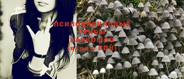 ешки Ветлуга
